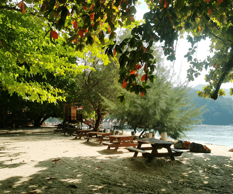 Sabah: Manukan and Sapi Islands Excursion Ticket - Should you book the Manukan and Sapi Islands day trip?