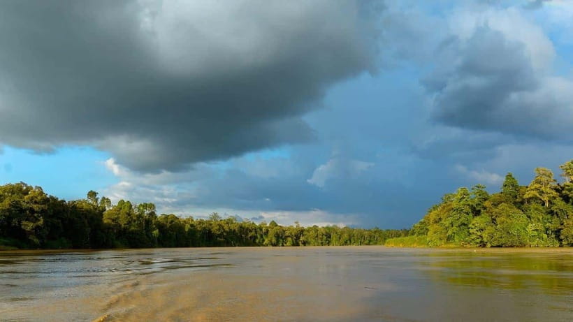 Sandakan: 2 Days 1 Night Bilit, Kinabatangan River Wildlife - Timing and weather: packing smart for Sabah humidity