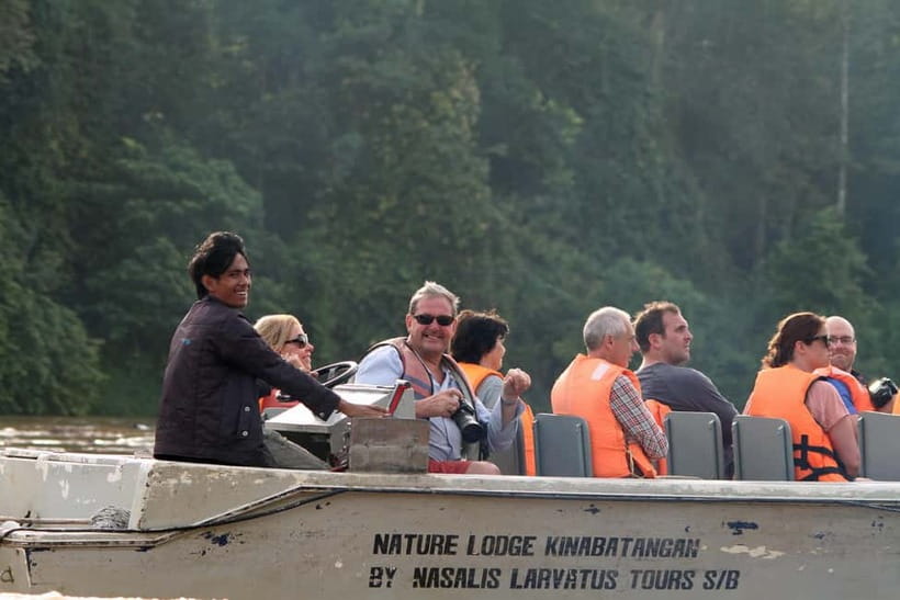 Sandakan: 3D2N The Wild Heart of Borneo River Secrets - Wildlife expectations: why sightings are a numbers game