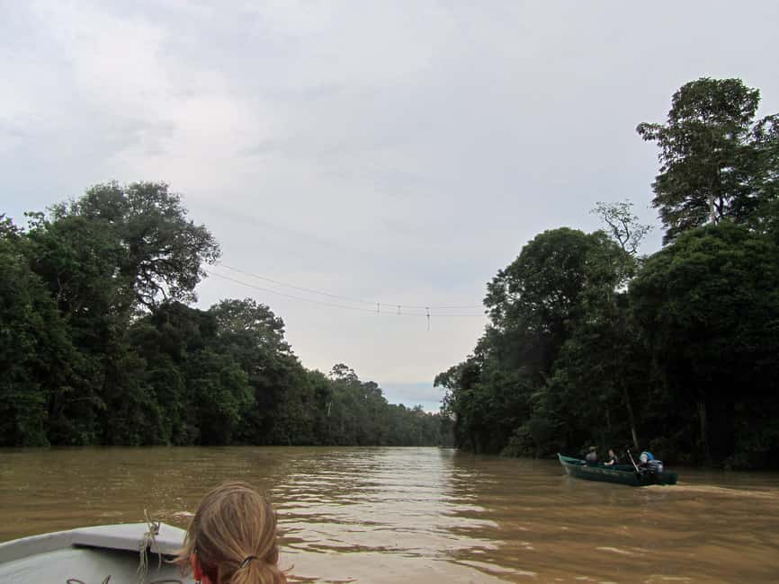 Sandakan: Gomantong Cave Echoes & Kinabatangan River Safari - Kinabatangan River at 4 pm: where the wildlife odds get better