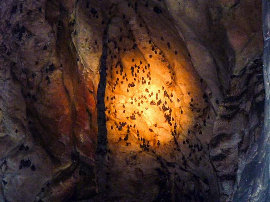 Sandakan: Gomantong Cave Echoes & Kinabatangan River Safari - Who should book, and who might want a different plan