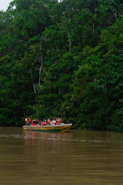 Sandakan: Kinabatangan River Wildlife Cruise with Lunch - Key highlights