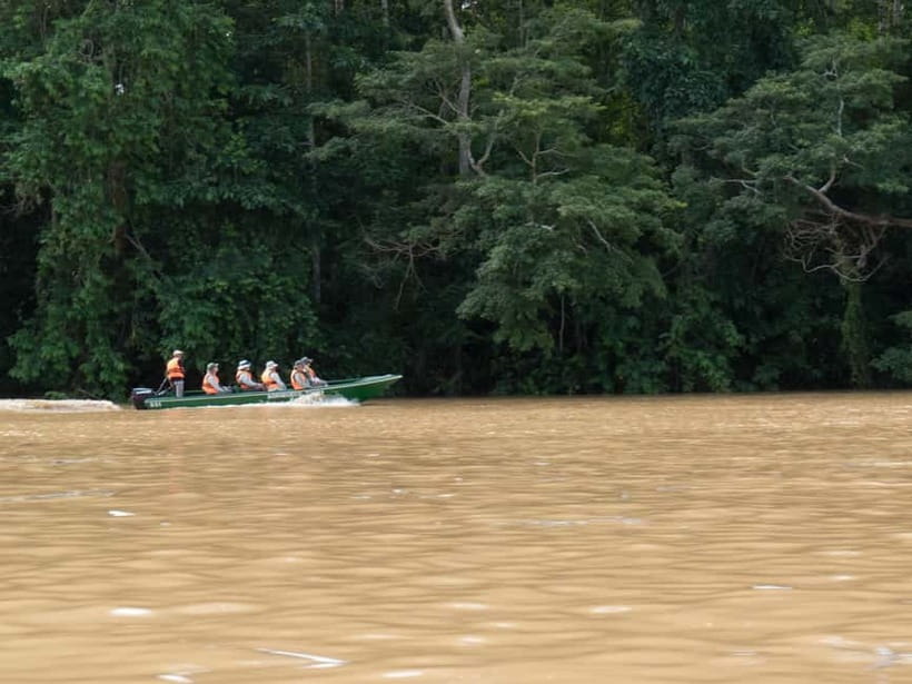 Sandakan: Sukau Rainforest Wildlife Journey & Dawn Cruises - Key things that make this trip worth your attention