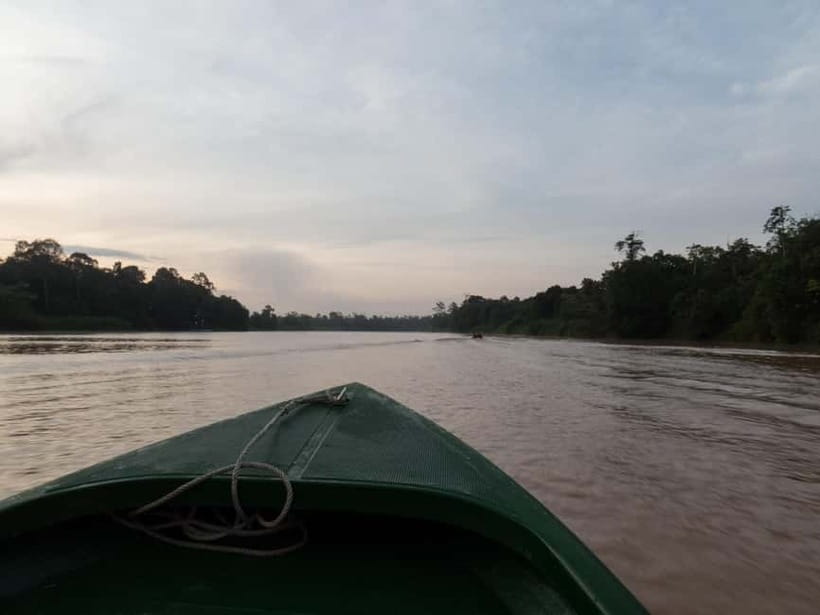 Sandakan: Sukau Rainforest Wildlife Journey & Dawn Cruises - Day tour vs overnight: what changes beyond the number of nights