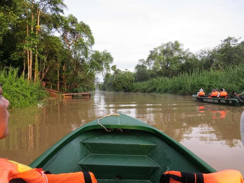 Sandakan: Sukau Rainforest Wildlife Journey & Dawn Cruises - Group size, guide help, and the small moments that matter
