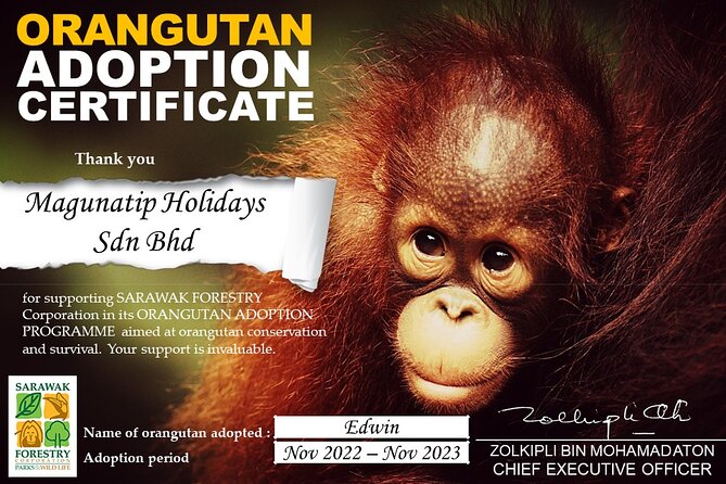 Semenggoh Orangutan Centre from Kuching - Semenggoh Orangutan Centre near Kuching: what you’re really supporting