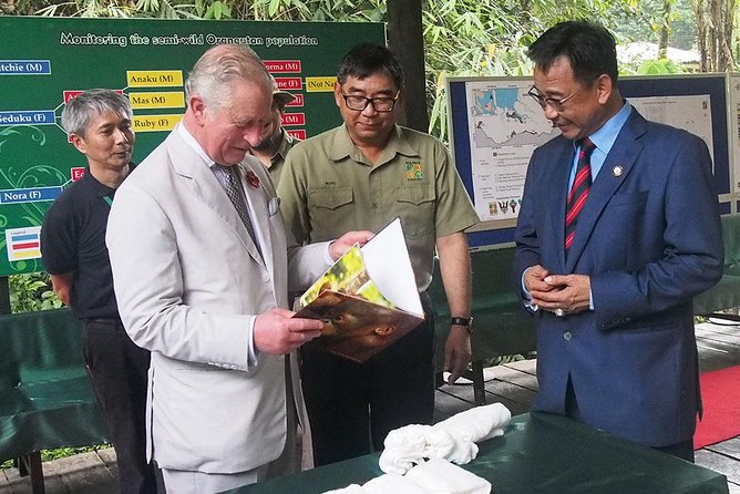 Semenggoh Wildlife Centre: Orangutan Discovery from Kuching - Orangutan viewing at Semenggoh, semi-wild feeding without the deep-forest gamble