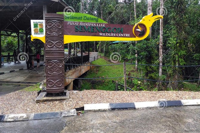 Semenggoh Wildlife Centre Tour: Discover Sarawak’s Orangutans - The Scheduled Feeding: Your Best Shot at Close Views
