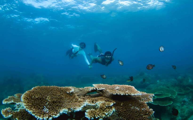 Semporna: Explore 3 Islands Tour Snorkel or Dive & Lunch - From Semporna Jetty to Timba Timba, the Day Gets Moving Fast