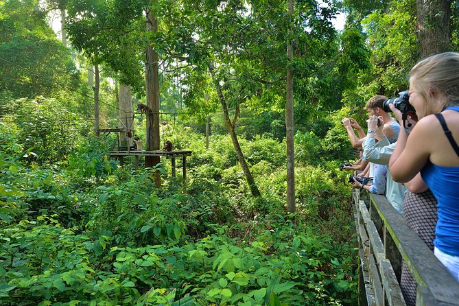 Sepilok Orang Utan & Bornean Sun Bear Centre with Sandakan City Tour with Lunch - Bornean Sun Bear Conservation Centre: a gentler kind of animal encounter