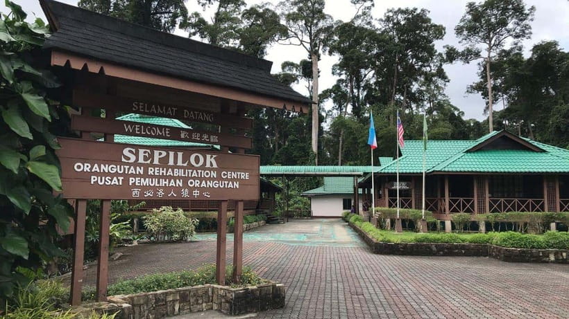 Sepilok Orangutan & Sun Bear Half-Day Tour | Sandakan - Key Things I’d Prioritize on This Tour