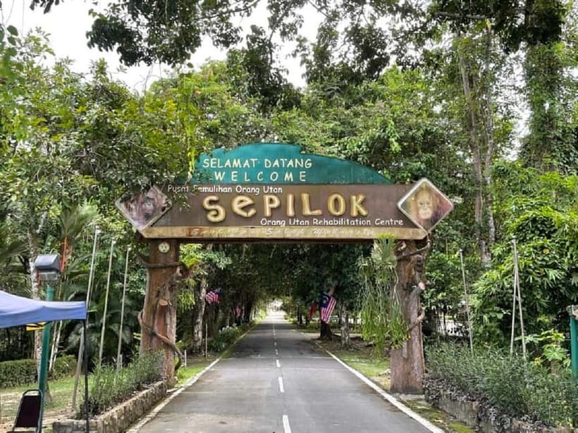 Sepilok OrangUtan, Sun Bear & Labuk Bay Full Day Trip - Key highlights worth penciling in