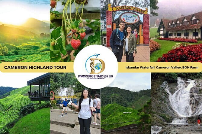 Shared Fireflies Tour with Blue Tears and Seafood Dinner - Comfort, Clothing, and Small Tips That Save the Night