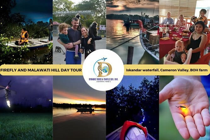 Shared Fireflies Tour with Blue Tears and Seafood Dinner - How to Decide If This Tour Fits Your Travel Style