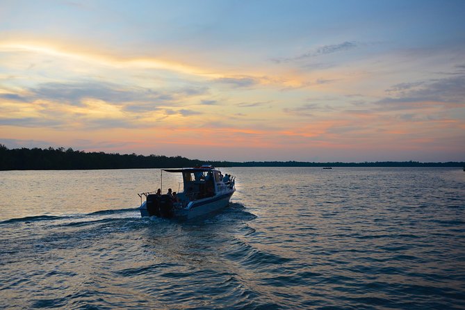 Shared Mangrove & Irrawaddy Dolphin Watching Cruise - Key things that make this cruise worth your morning