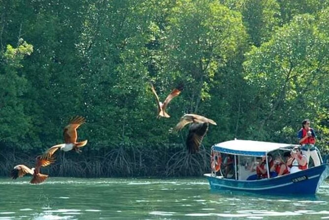 Sharing Half Day Kilim Geoforest Park Mangrove Boat Tour - Lunch on the Water: What’s Included, and What to Expect