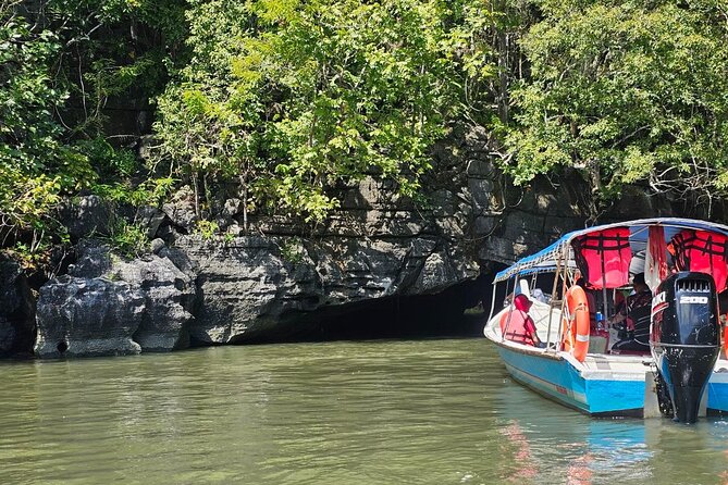 Sharing Half Day Mangrove Boat Tour With Lunch in Langkawi - Quick hits: what makes this tour click