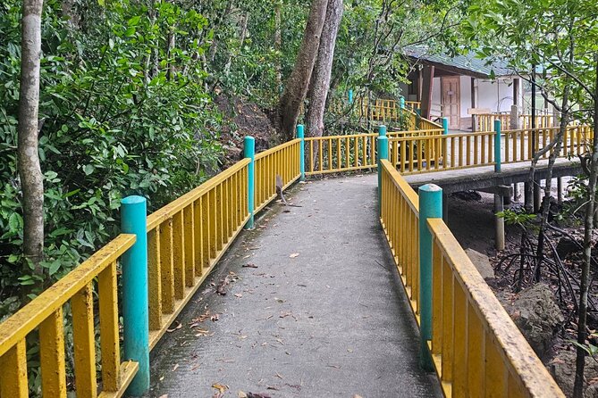 Sharing Half Day Mangrove Boat Tour With Lunch in Langkawi - Eagle watching at Biogeotrail Kubang Badak: the highlight moment