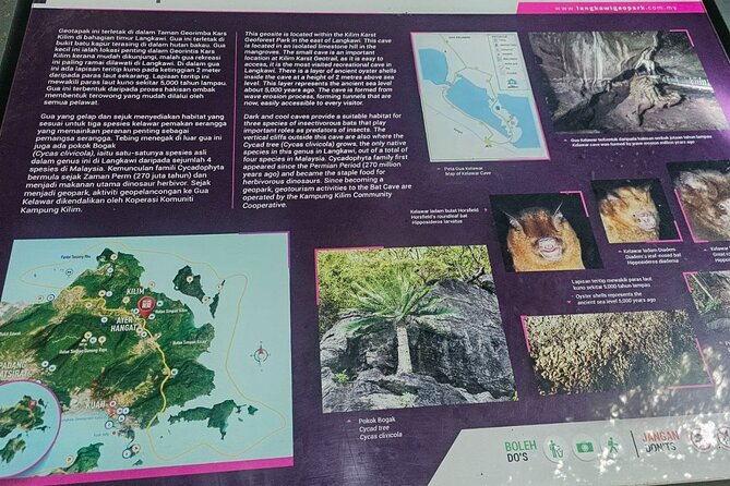 Sharing Half Day Mangrove Boat Tour With Lunch in Langkawi - From pickup to the boat: how the day usually moves