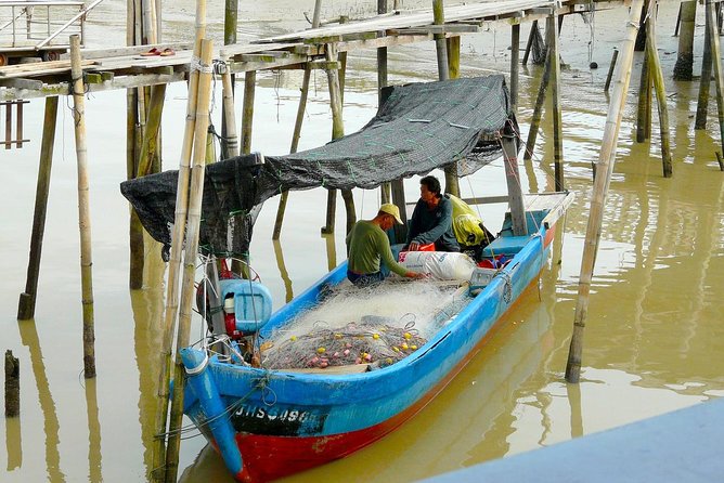 Silver Leaf Monkeys and Firefly Tour with Boat Ride and Seafood Dinner - Price and time: what you get for $193.14