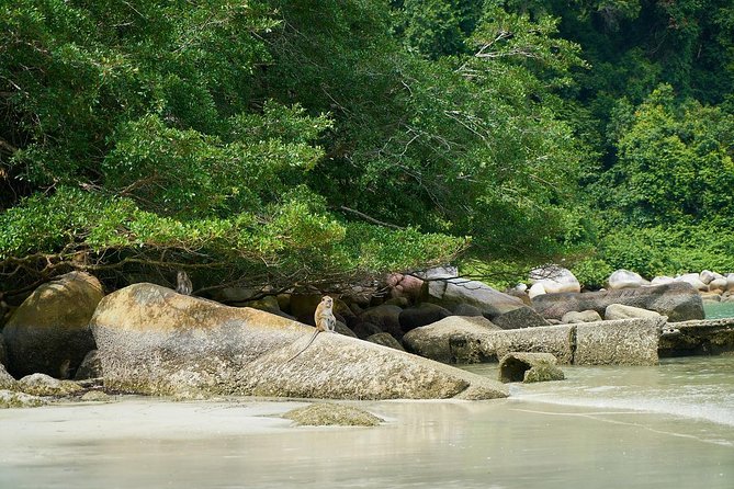 Silver Leaf Monkeys and Firefly Tour with Boat Ride and Seafood Dinner - On the way to Kuala Selangor: built-in breaks that matter