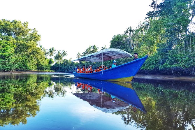 Sky-Mirror Photographing and Proboscis Monkey & Fireflies Watching River-Cruise - Quick hits on monkeys, mirror photos, and fireflies