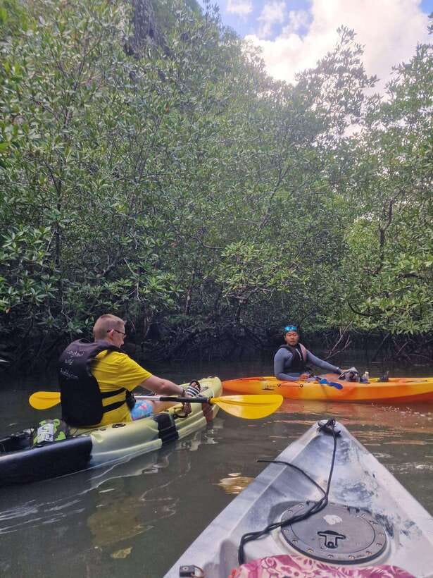 Small Group, Big Heart: Kilim Karst Mangrove Kayak Adventure - Floating Hub Lunch: Fried Rice, Water, and a Chance to Reset