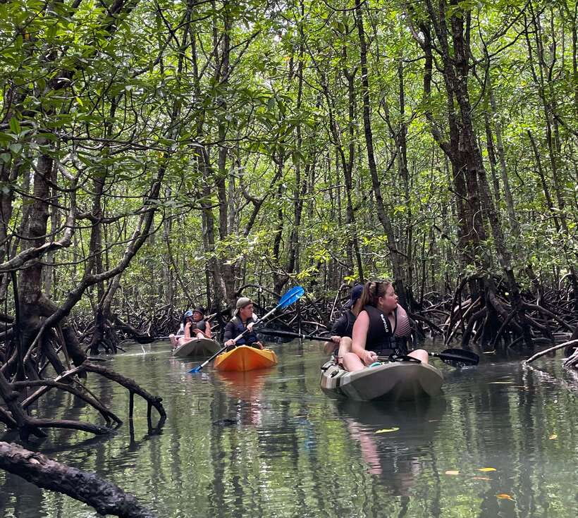 Small Group, Big Heart: Kilim Karst Mangrove Kayak Adventure - Small-Group Tips That Improve Your Day (No Fancy Stuff Needed)