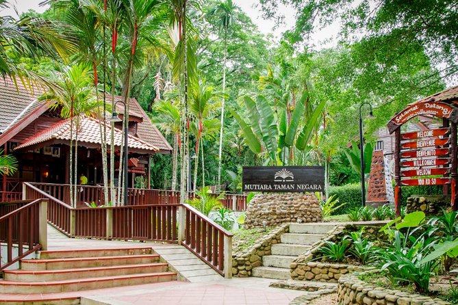 Taman Negara Day Tour with Canopy Walk - Key highlights to expect