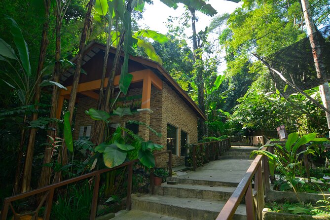 Taman Negara Day Trip from Kuala Lumpur with Lunch - Key highlights that matter on the ground