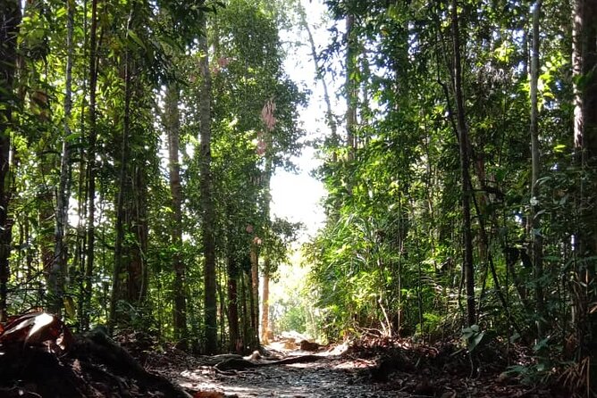 Taman Negara National Park Day Tour (SIC - Join In Tour) - The ride from Kuala Lumpur to Taman Negara, and why it matters