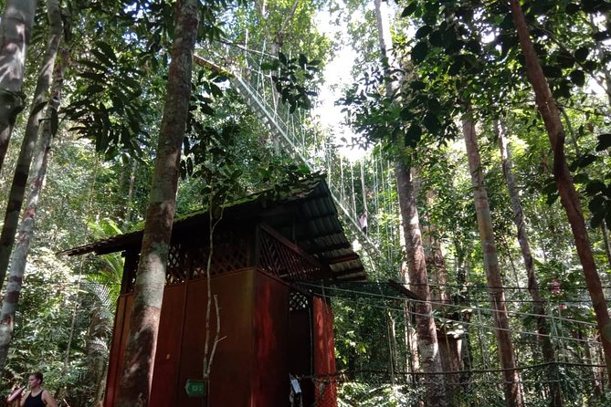 Taman Negara National Park Day Tour (SIC - Join In Tour) - Suspension bridges and canopy walk: views, timing, and weather reality