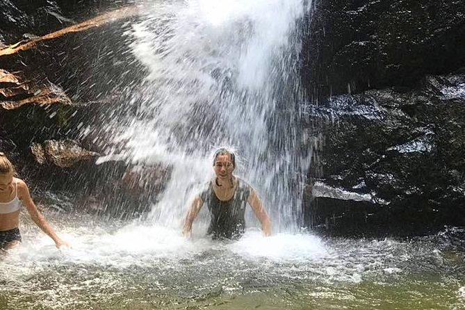 Templer Park and Kanching Waterfall Tour with Batu Caves Stopover - Price and value: what $56.38 buys you, and what it does not
