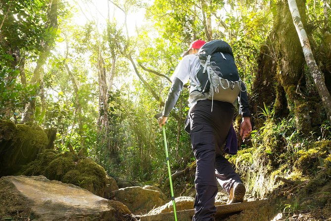 Templer Park and Kanching Waterfall Tour with Batu Caves Stopover - What to bring: small choices that make the day smoother
