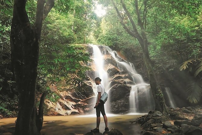 Templer Park and Kanching Waterfall Tour with Batu Caves Stopover - The guide factor: why a good driver makes rainforest days easier