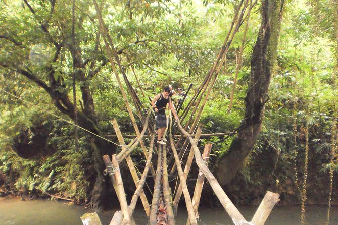 Traditional Bidayuh Village Bamboo Longhouse Tour - The farming context: why this tour is more than a building tour