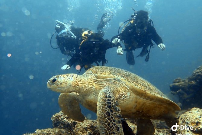 TRY SCUBA (non diver) - Why Semporna works so well for a first-timer scuba experience