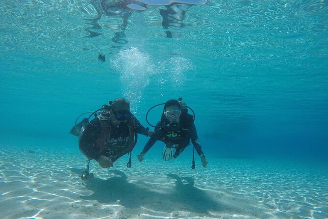 TRY SCUBA (non diver) - The free snorkeling time after scuba