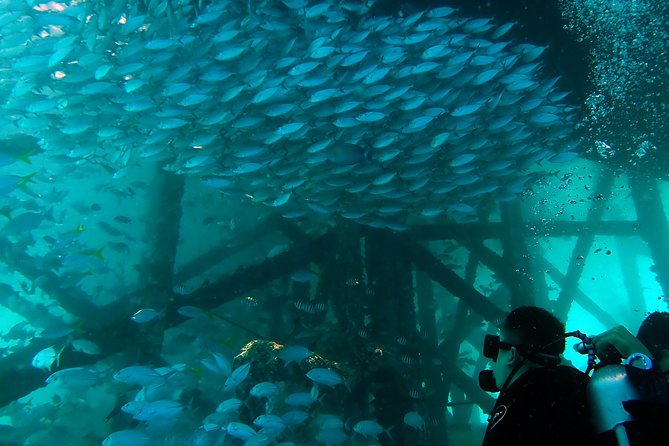 TRY SCUBA (non diver) - Group size, instructor support, and feeling safe