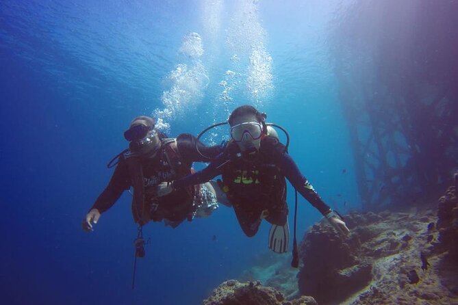 TRY SCUBA (non diver) - Price value: is $122.25 a fair deal?