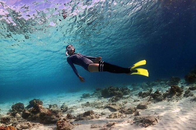 Tunku Abdul Rahman Park 2 Islands Hopping Tour from Kota Kinabalu - Manukan Island: Snorkeling Time and a Jungle Walk Option