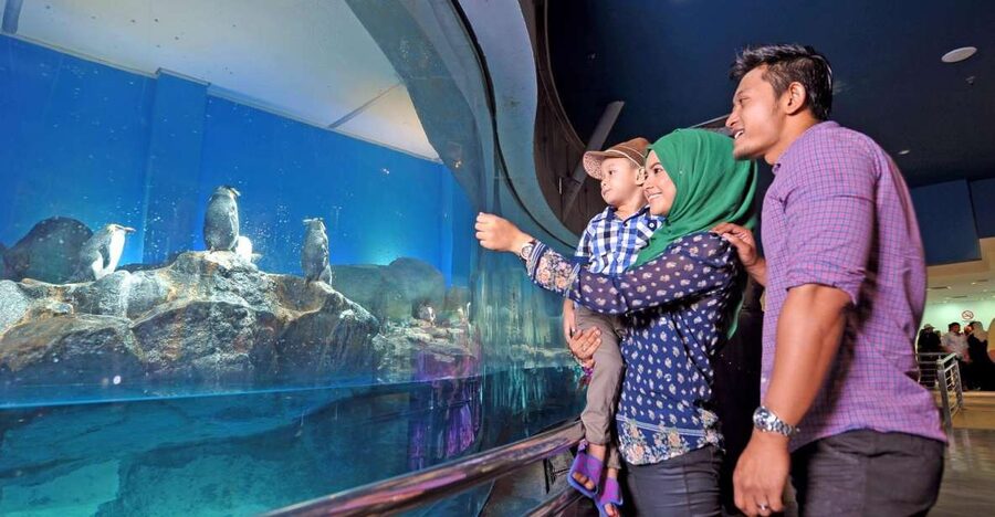 Underwater World Langkawi Admission Ticket - Key highlights worth planning around