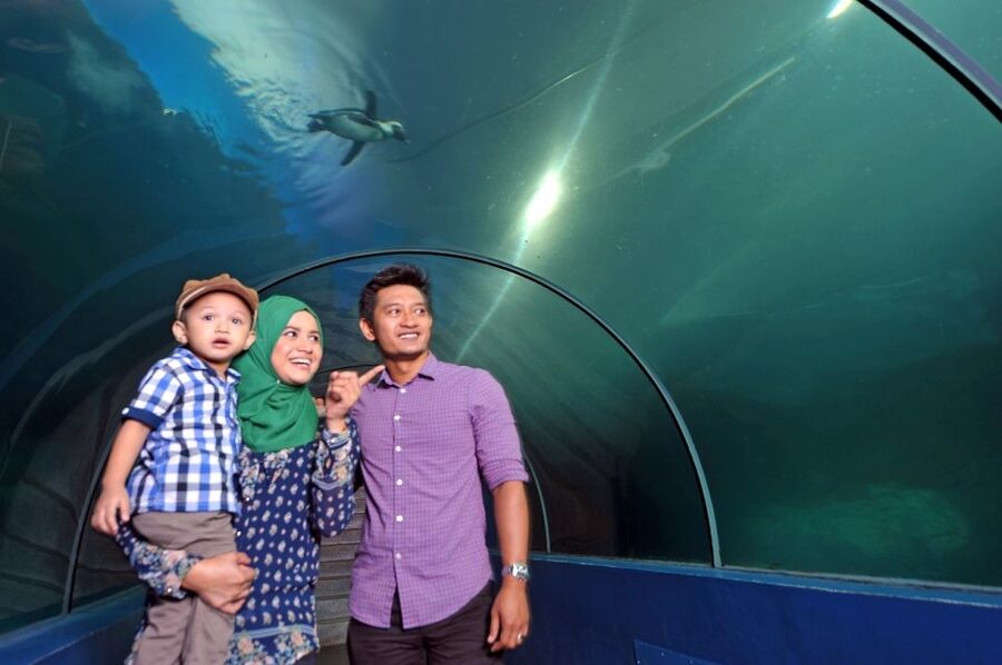 Underwater World Langkawi Admission Ticket - Tickets, e-tickets, and avoiding the entry slowdown