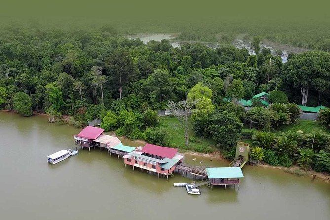 Wildlife & Wonders: Orang Utan Island + Perak Cave Temple Tour - What the best guides can do for your day